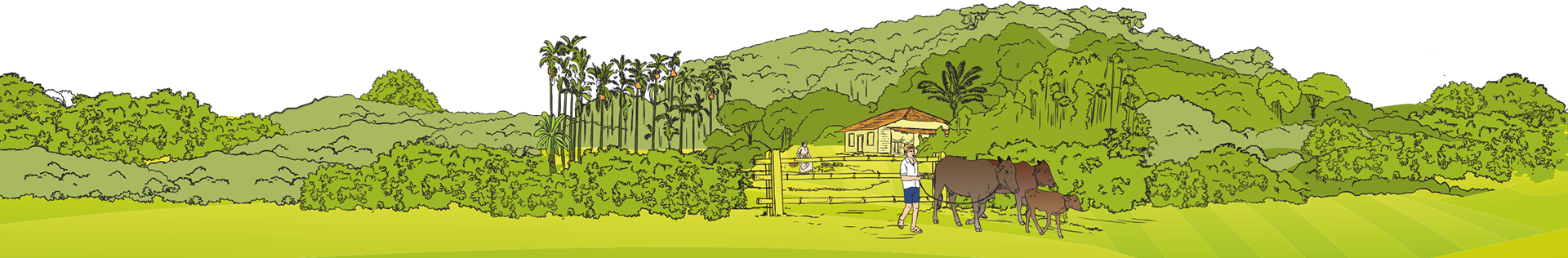 Footer Full Width Image